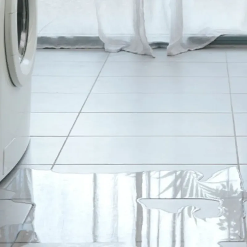 Appliance Leak Cleanup in Knoxville, IL