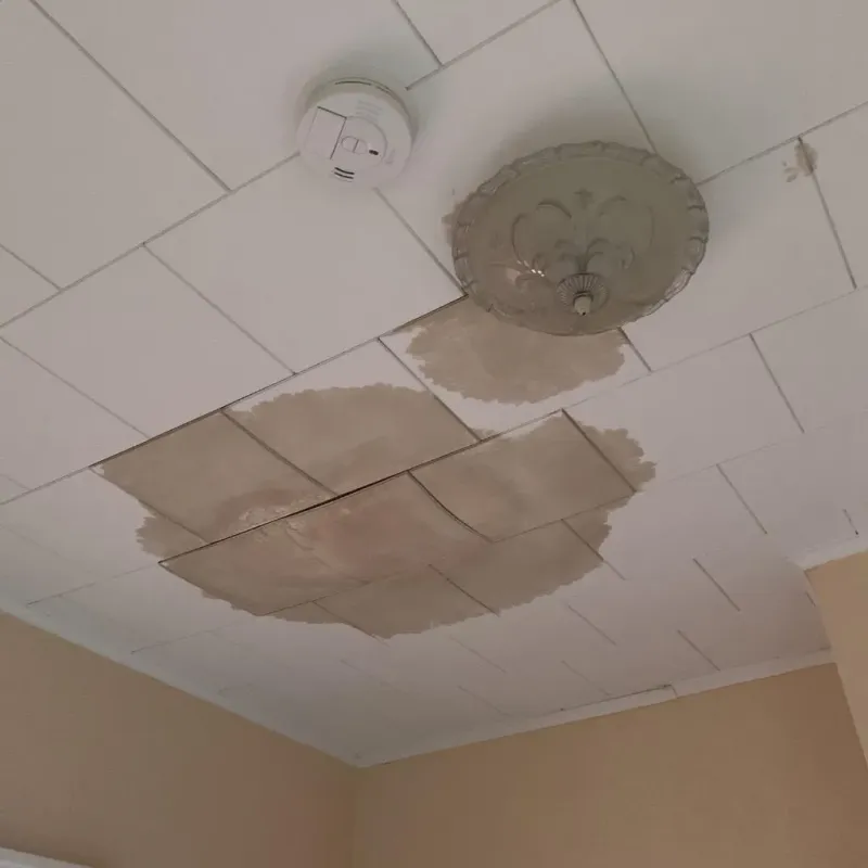 Ceiling Water Damage Repair in Knoxville, IL