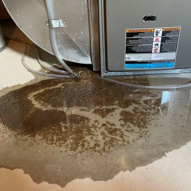 Pipe Burst and Leak Restoration in Knoxville, IL