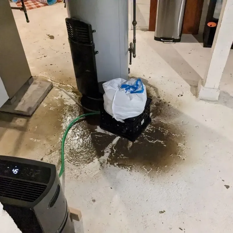 Sewage Backup Cleanup Service in Knoxville, IL